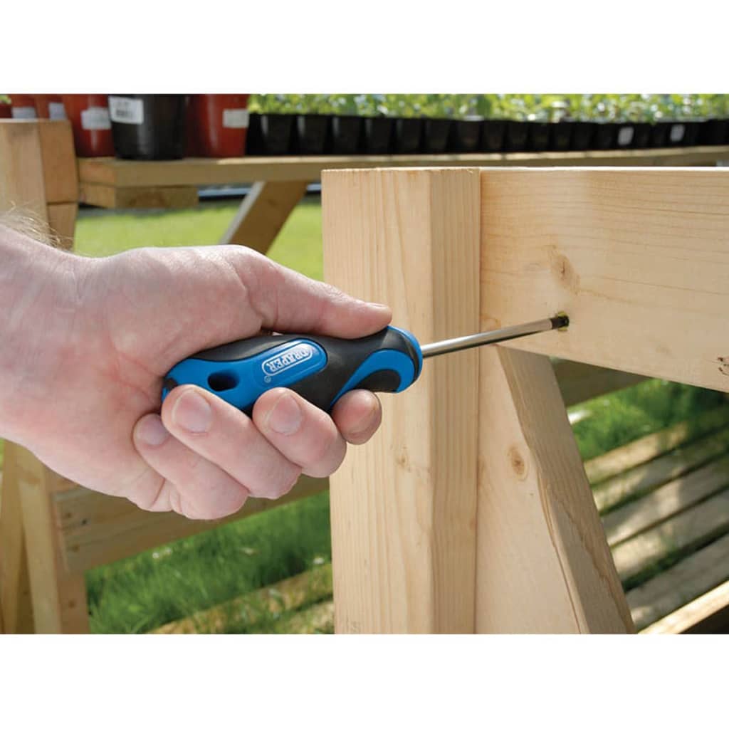 Draper Tools Schroevendraaier Set 19-Dlg Blauw 09548