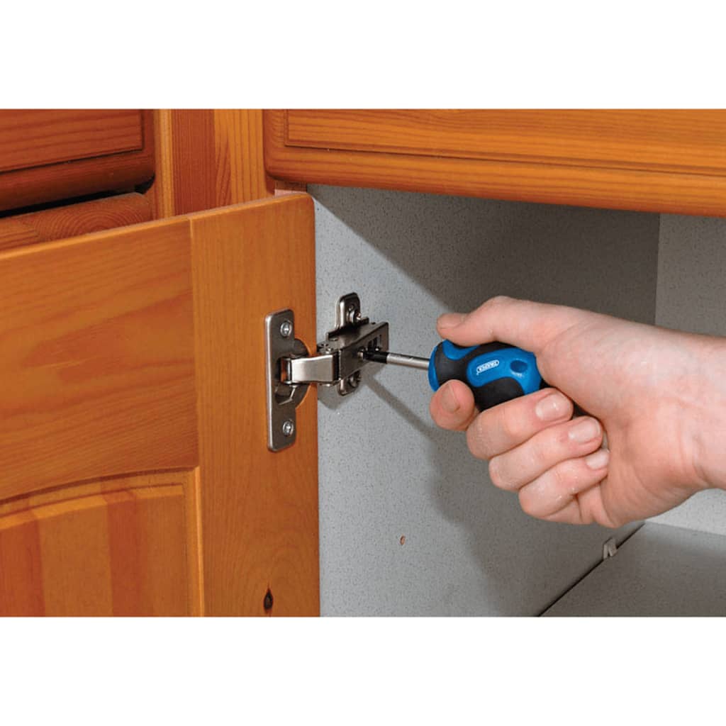 Draper Tools Schroevendraaier Set 19-Dlg Blauw 09548