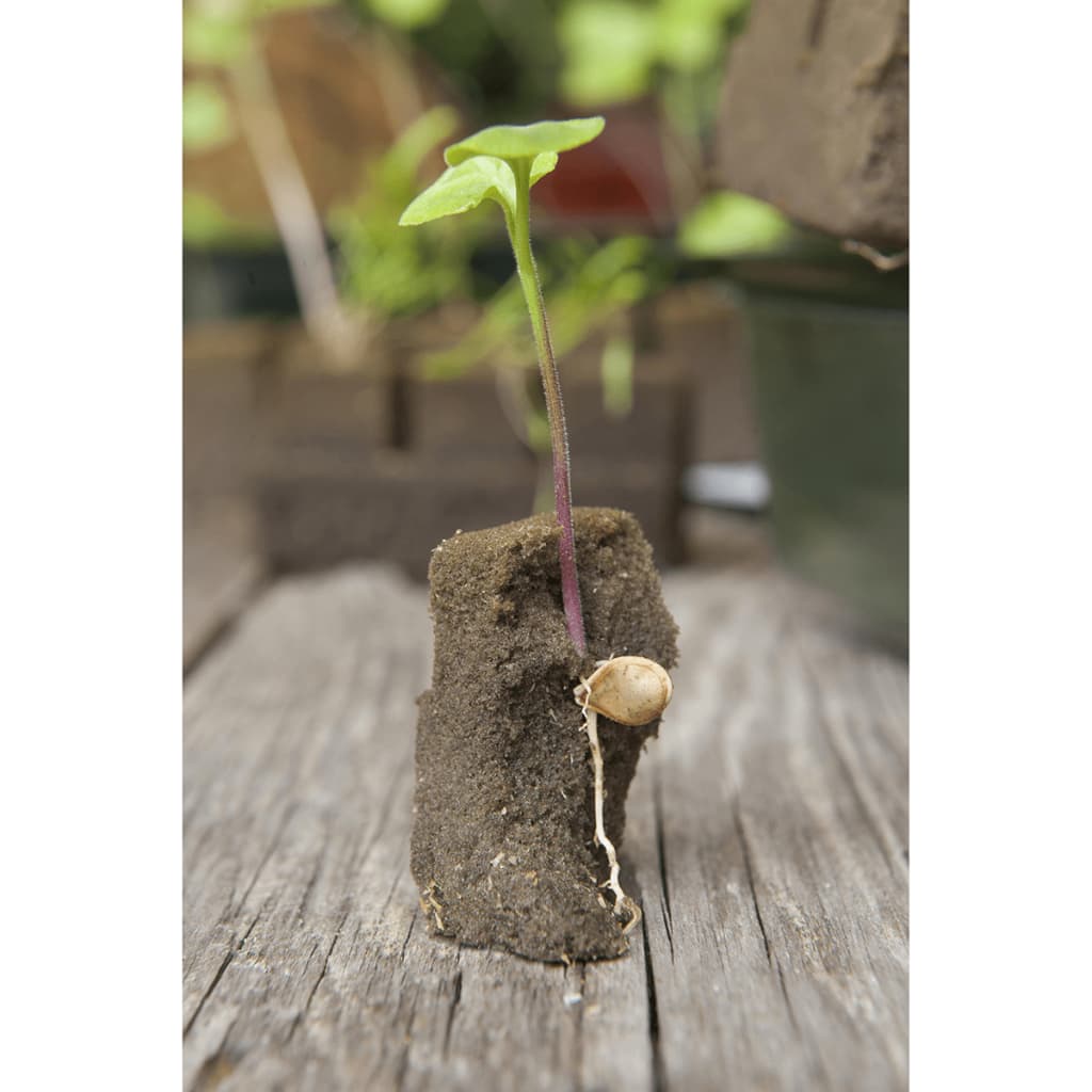 Nature Kweekbak Miniset 7X11 Vakken