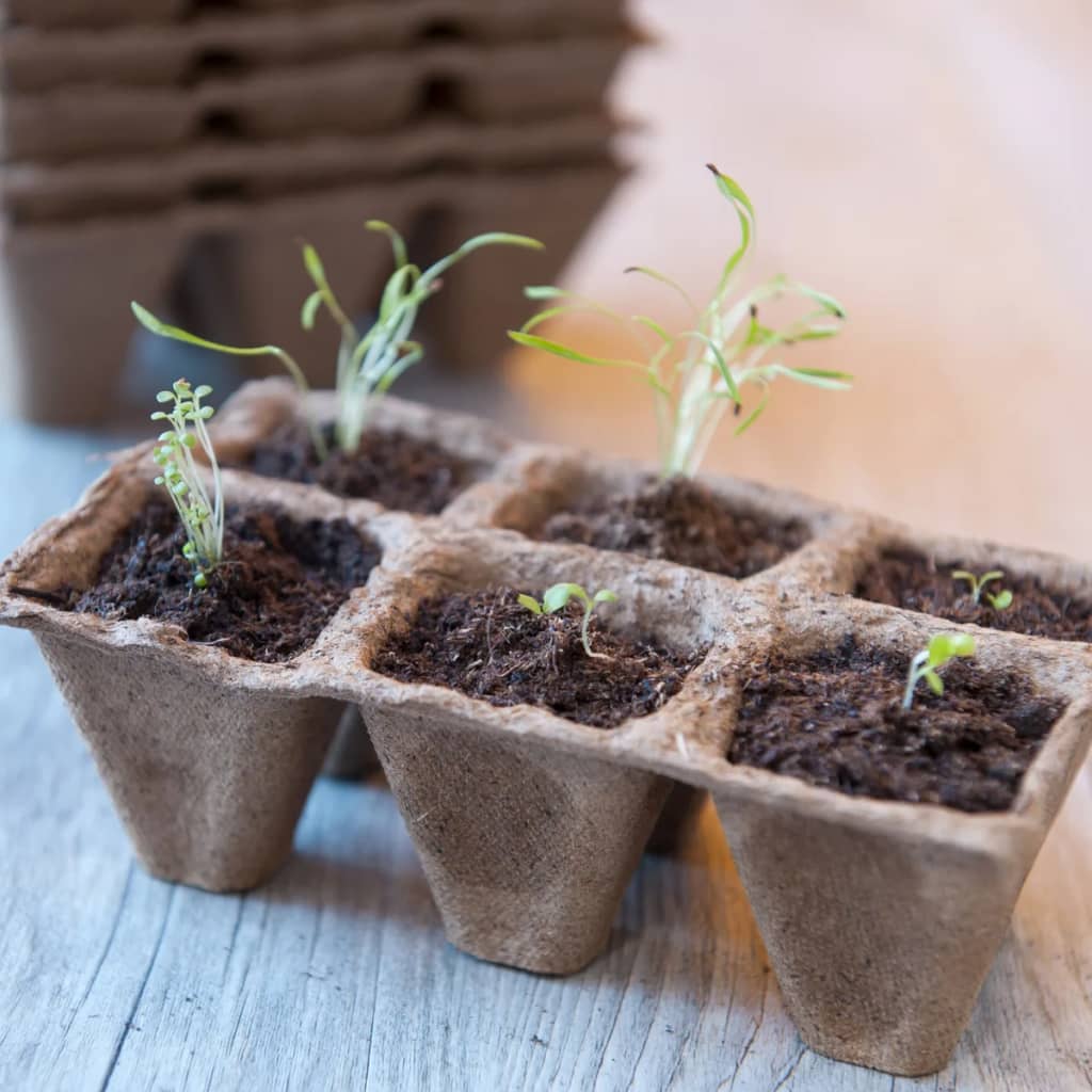 Nature 200-Delige Kweekbak Startset