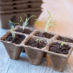 Nature 200-Delige Kweekbak Startset