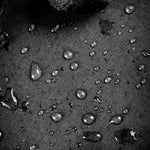 Madison Tuinstoelhoes Grijs