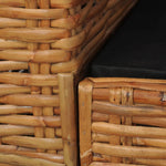 Fauteuil Met Kussens Natuurlijk Rattan Bruin Blauw