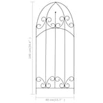 Plantenklimrekken 40X100 Cm Ijzer Zwart