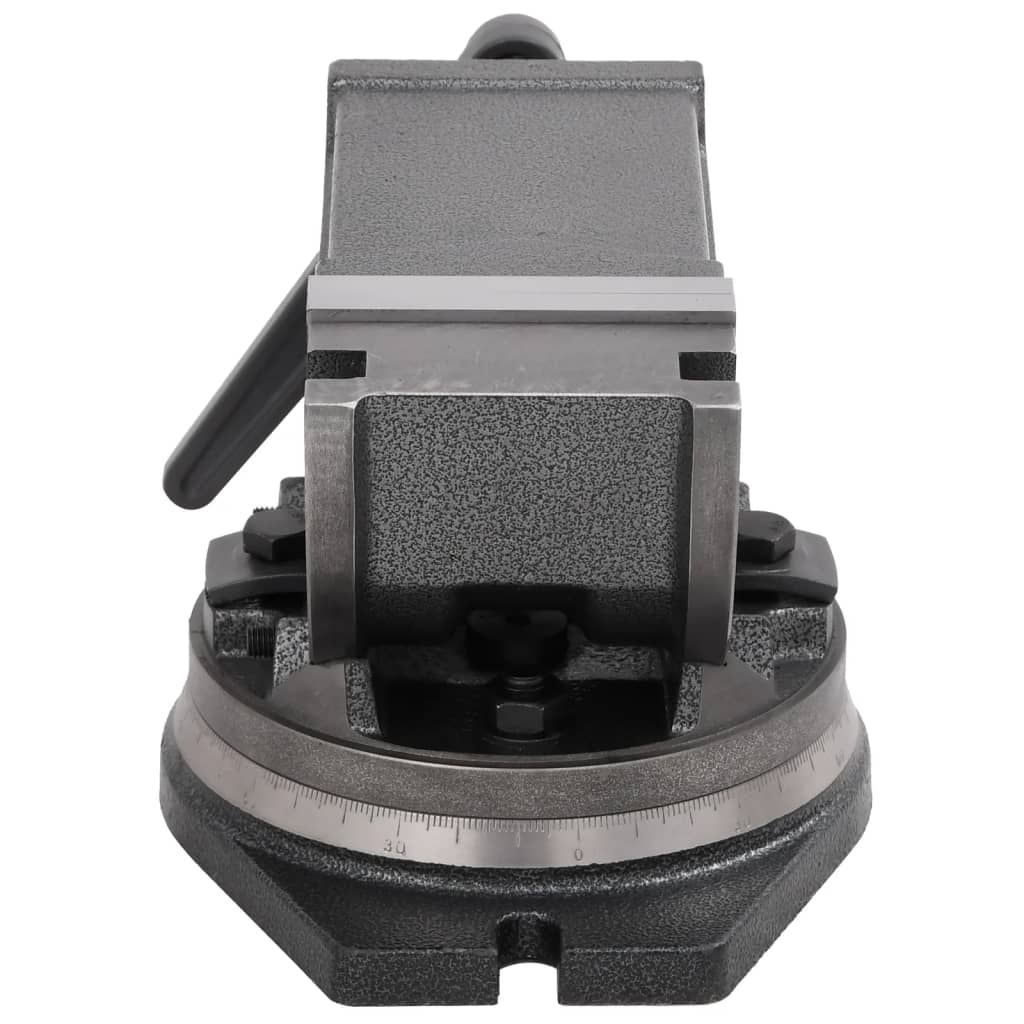 Bankschroef Met 2 Assen Kantelbaar