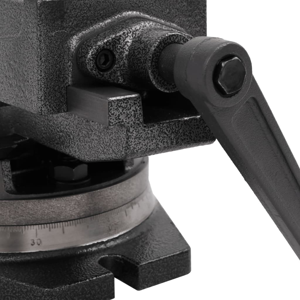 Bankschroef Met 2 Assen Kantelbaar