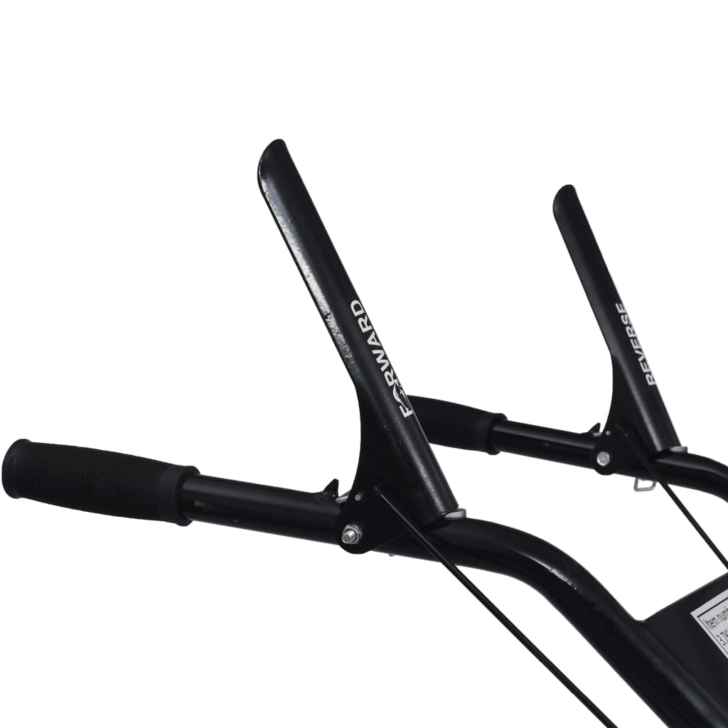 Benzinefrees 6,5 Pk 196 Cc