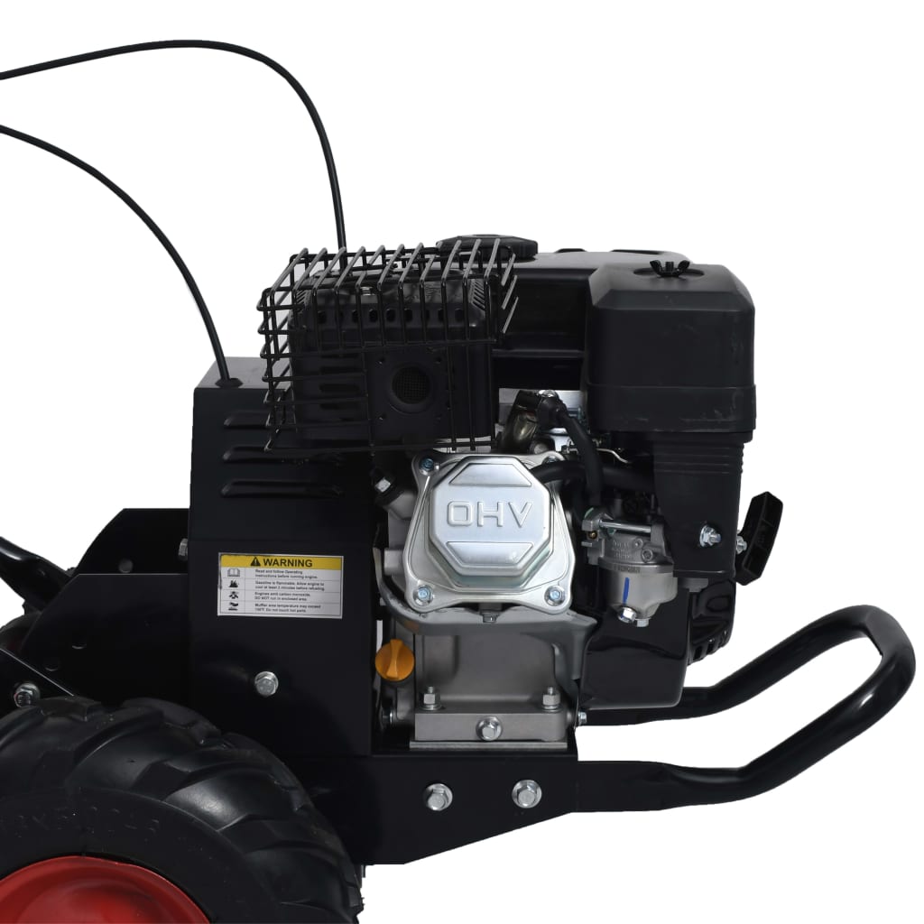 Benzinefrees 6,5 Pk 196 Cc