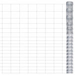 Hek 50X1,25 M Gegalvaniseerd Staal Zilverkleurig