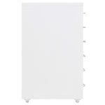 Ladeblok Verrijdbaar 28X41X69 Cm Metaal