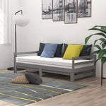 Slaapbank Uitschuifbaar Massief Grenenhout 2X(90X200) Cm