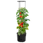 Tomatenkweekpot Ø39X150 Cm Polypropeen Antracietkleurig