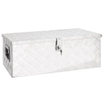 Aluminium Kist 48,5X14X20 Cm Kleurig