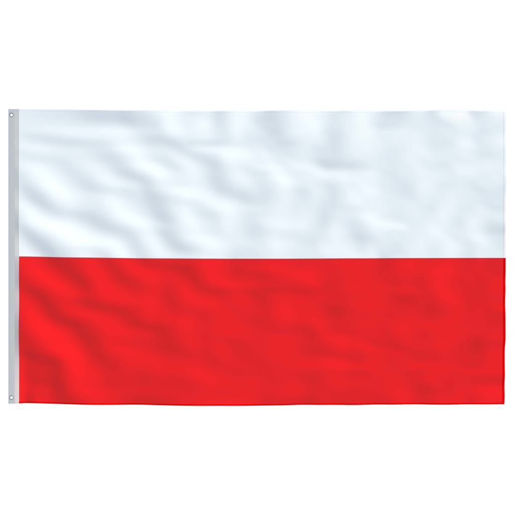 Vlag Met Vlaggenmast Polen 5,55 M Aluminium