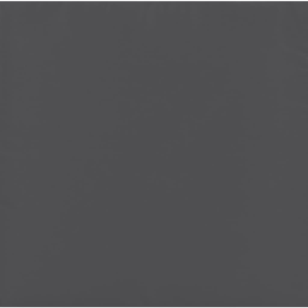 2-Delige Loungeset Met Kussens Staal Kleurig