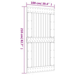 Schuifdeur Met Beslag 100X210 Cm Massief Grenenhout