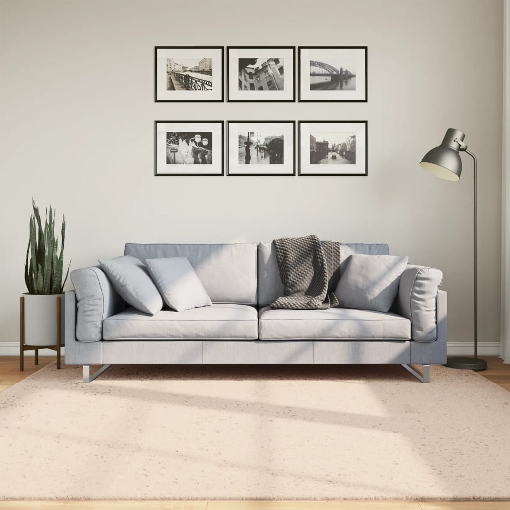 Vloerkleed Huarte Laagpolig Zacht Wasbaar Beige
