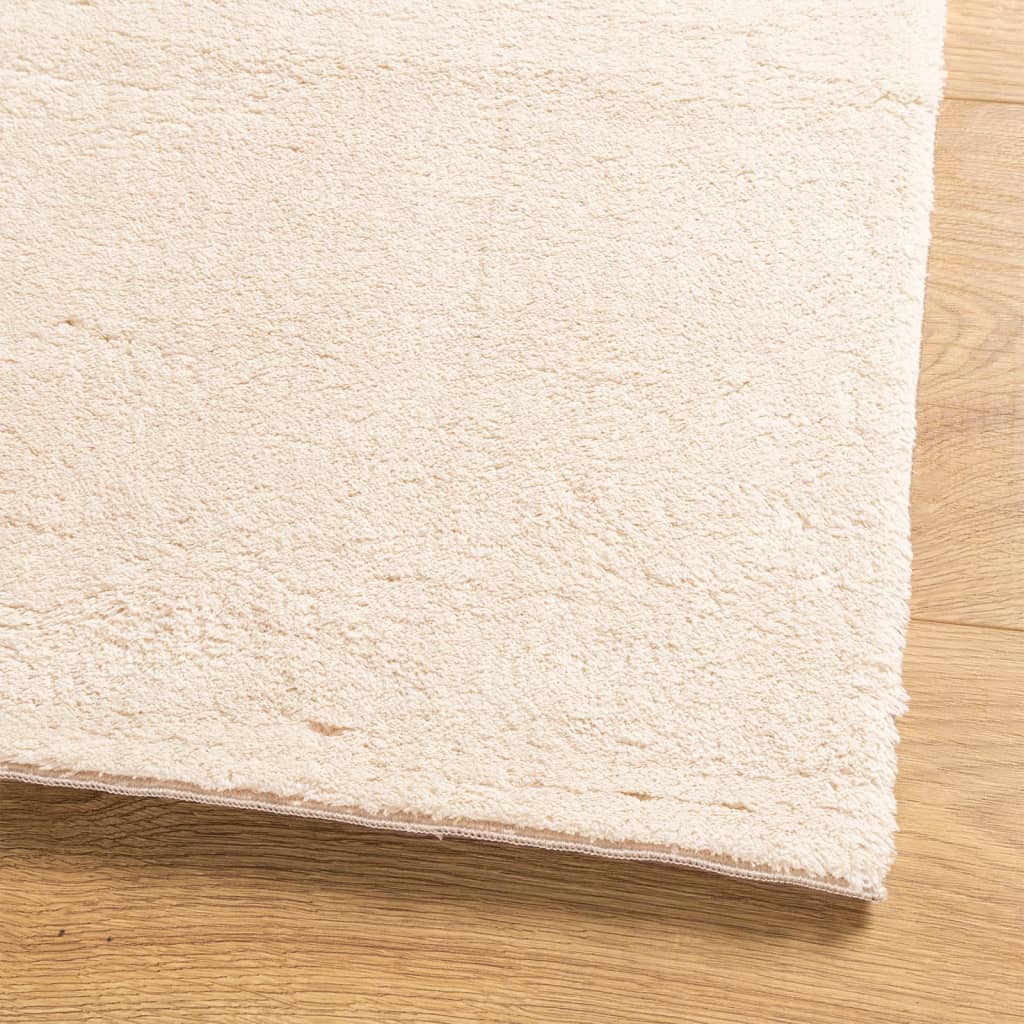 Vloerkleed Huarte Laagpolig Zacht Wasbaar Beige