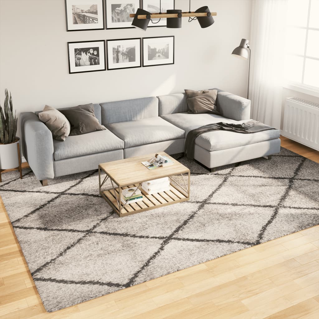 Vloerkleed Pamplona Shaggy Hoogpolig Beige En Antraciet