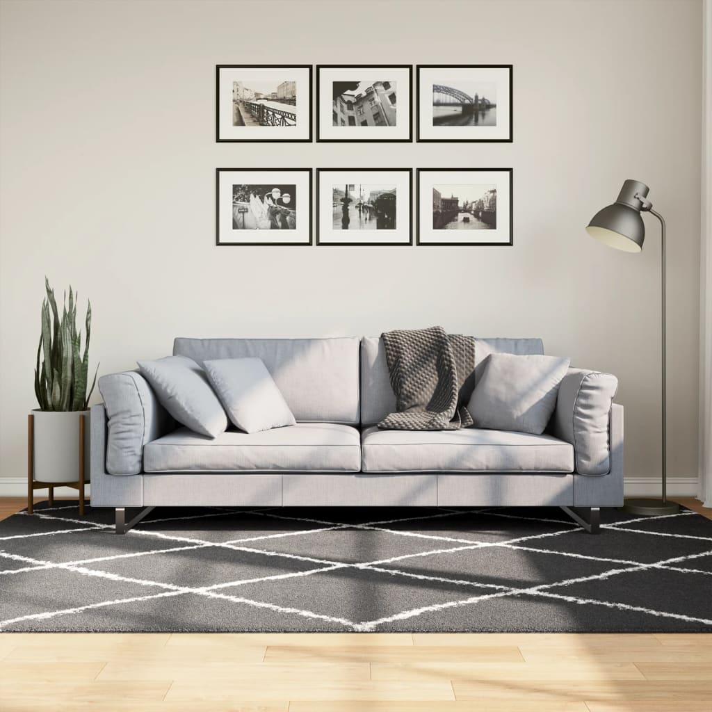 Vloerkleed Shaggy Hoogpolig Modern Zwart En Crème