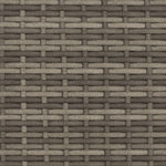 Tuinbank 2-Zits Met Voetenbanken Poly Rattan Grijs