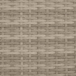 Tuinbank 2-Zits Met Voetenbanken Poly Rattan Lichtgrijs