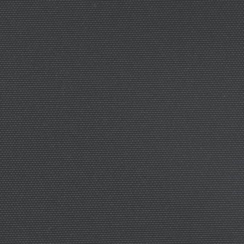 Windscherm Uittrekbaar Zwart