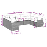 9-Delige Loungeset Met Kussens Poly Rattan Zwart