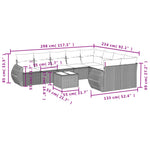 10-Delige Loungeset Met Kussens Poly Rattan Zwart