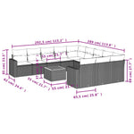 12-Delige Loungeset Met Kussens Poly Rattan Zwart