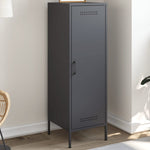 Hoge Kast 36X39X113 Cm Staal