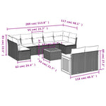 10-Delige Loungeset Met Kussens Poly Rattan Zwart