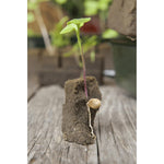 Nature Kweekbak Miniset 7X11 Vakken