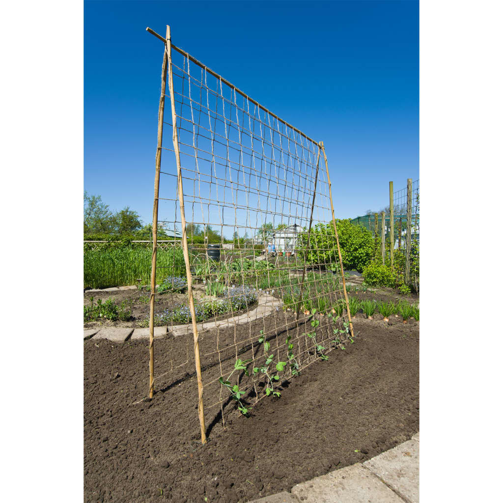 Nature Klimnet Voor Planten ,8X5 M Naturel