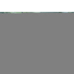 Nature Insectennet Tegen Fruitmot 6030450