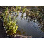 Ubbink Borderrand 7 Mm 14Cmx15M Zwart