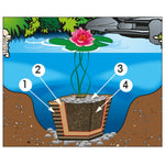 Ubbink Waterlelie Grond 10 L 1373118