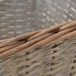 Plantenbakken Verhoogd 3 St Wicker Met Pe-Voering