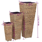 Plantenbakken Verhoogd St Waterhyacint