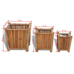 3 St Plantenbakken Verhoogd Bamboe Met Nylon Voering
