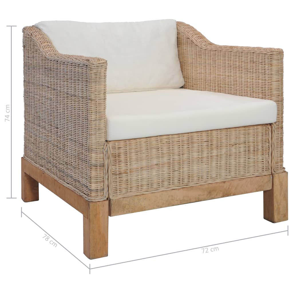 Fauteuil Met Kussens Natuurlijk Rattan