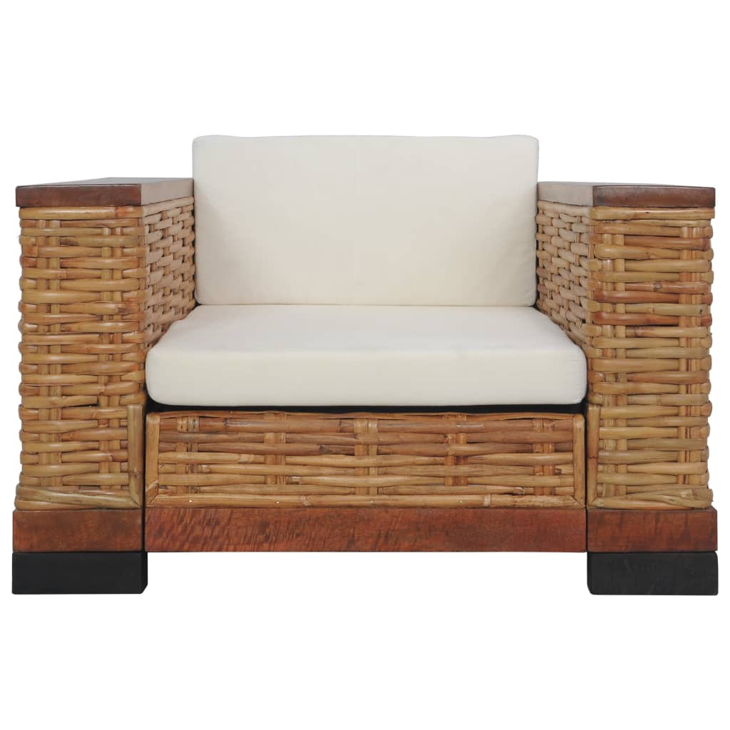 Fauteuil Met Kussens Natuurlijk Rattan Bruin Blauw