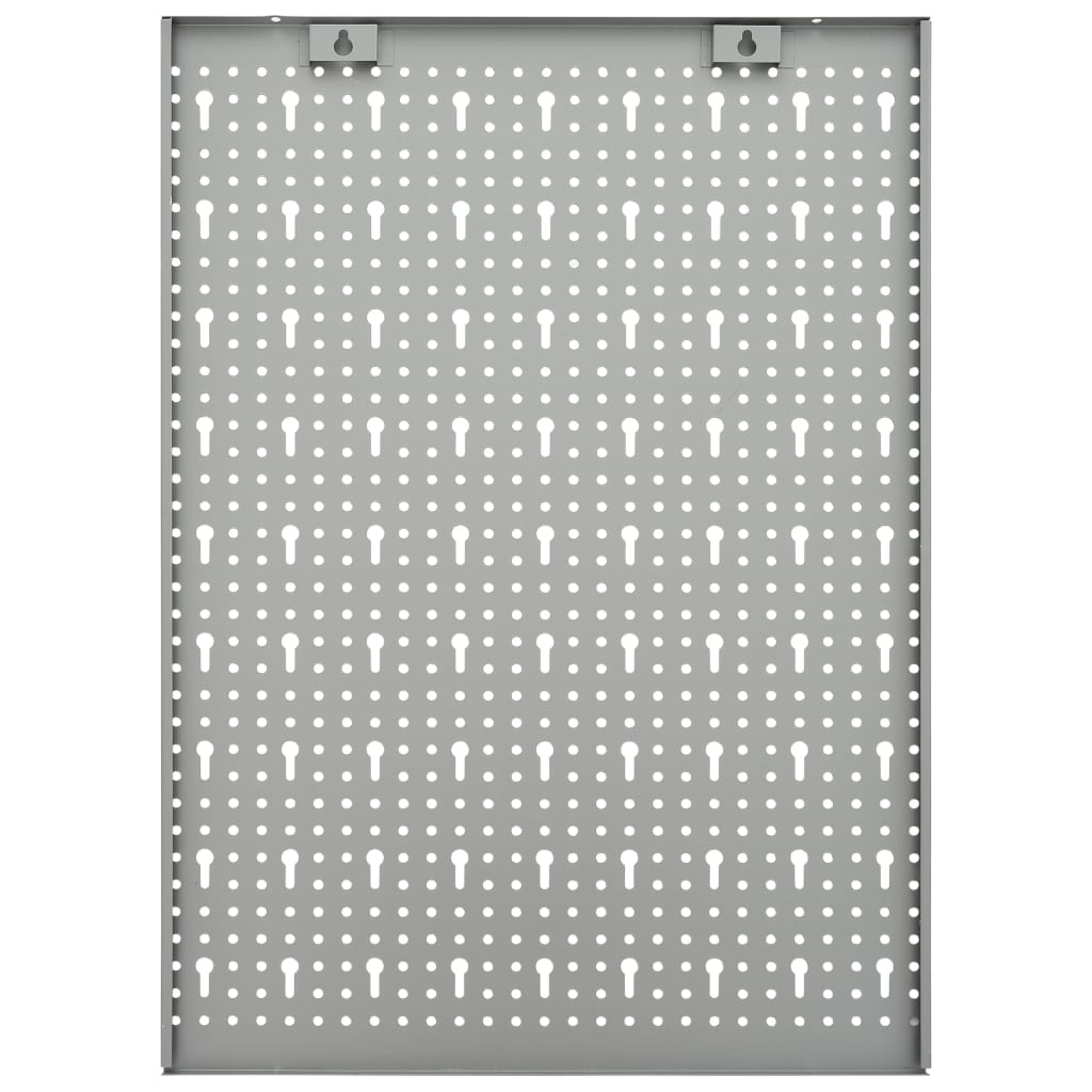Gaatjespaneel Wandgemonteerd 40X58 Cm Staal