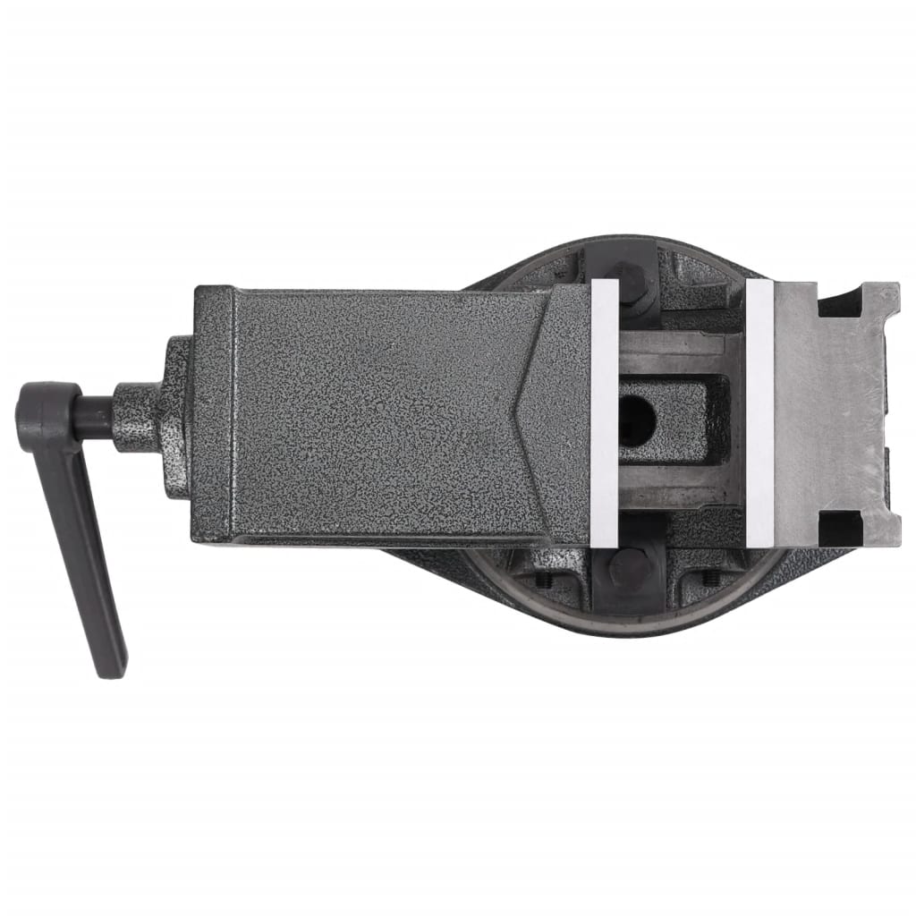 Bankschroef Met 2 Assen Kantelbaar