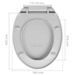 Toiletbril Soft-Close Ovaal