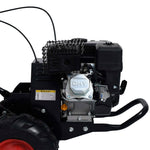 Benzinefrees 6,5 Pk 196 Cc