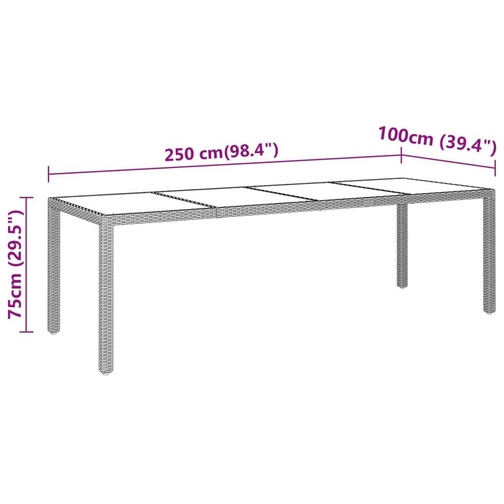 Tuintafel 250X00X75 Cm Gehard Glas En Poly Rattan