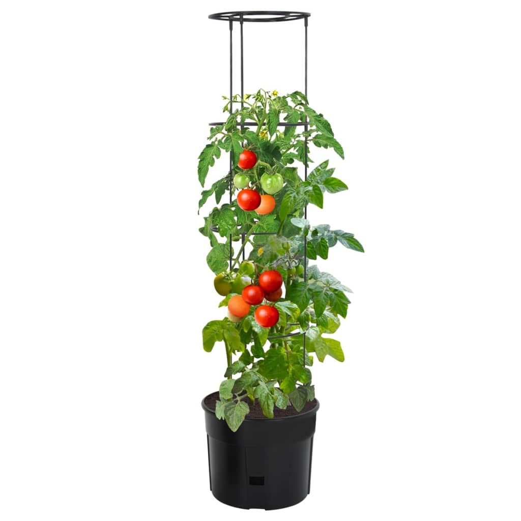 Tomatenkweekpot Ø39X150 Cm Polypropeen Antracietkleurig