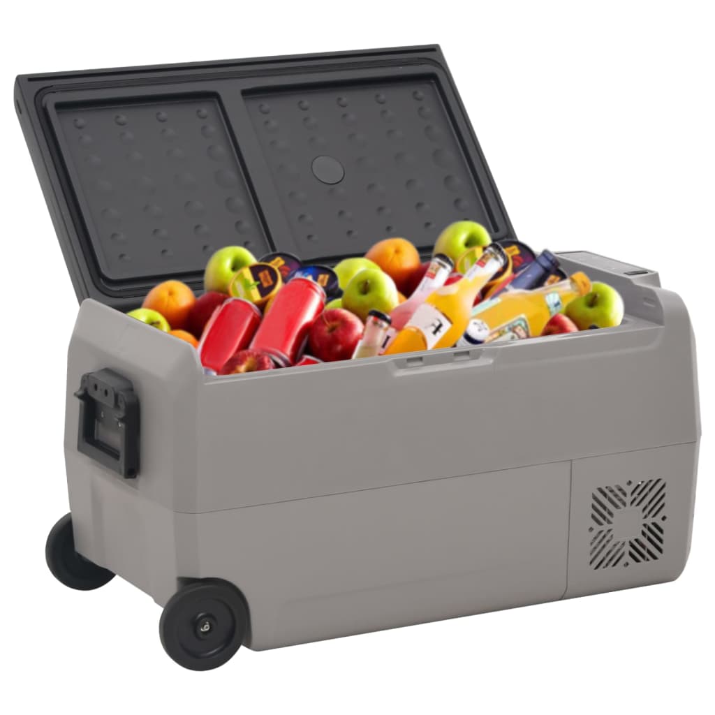Koelbox Met Wielen En Adapter Pp En Pe Zwart En Grijs