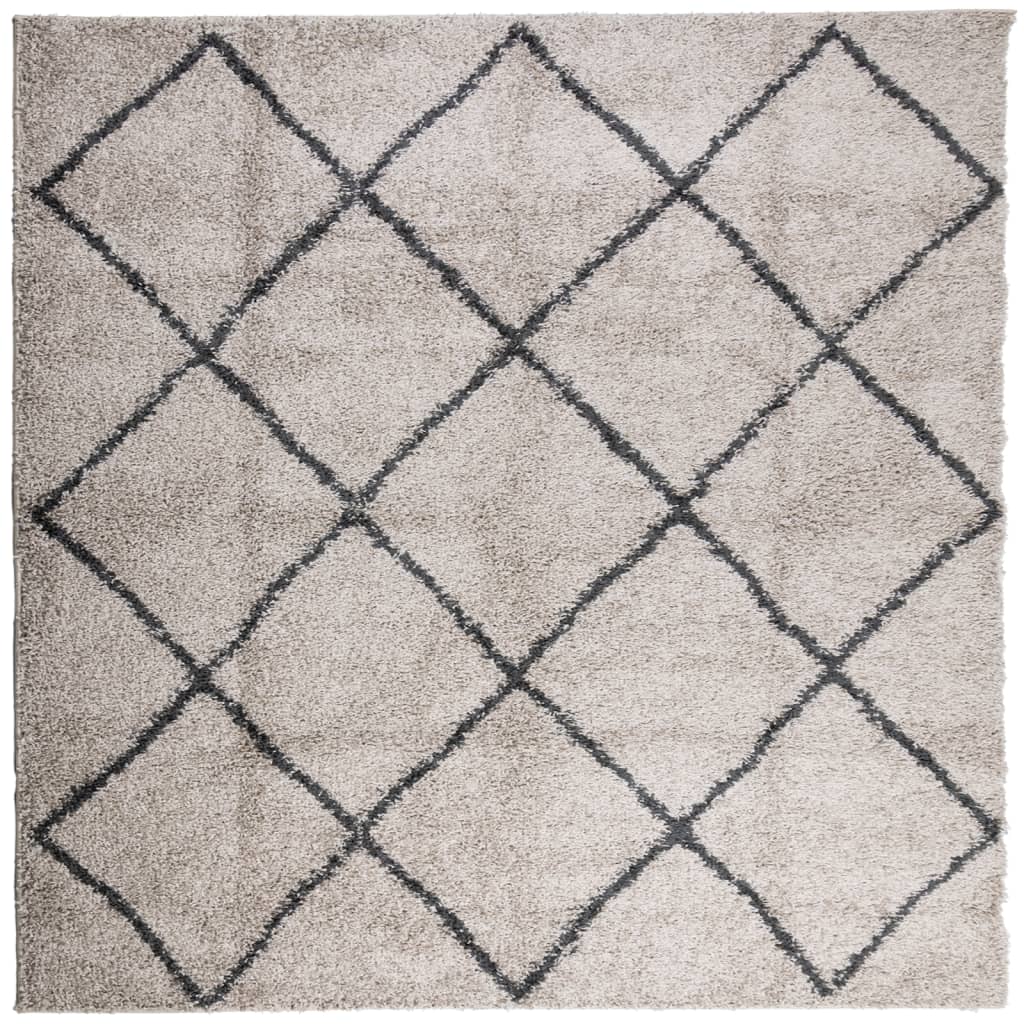 Vloerkleed Pamplona Shaggy Hoogpolig Beige En Antraciet